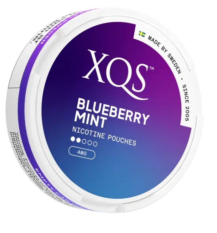 XQS BlueBerry Mint 4mg