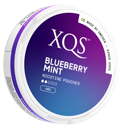 XQS BlueBerry Mint 4mg